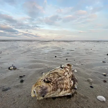 Im Haus Nordland Nordland, App 44 韦斯特兰